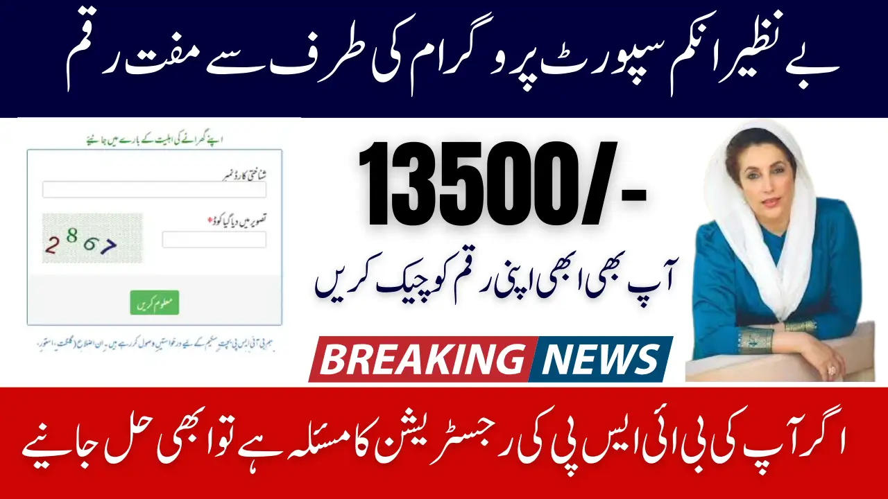 Benazir Income Support Programme How to Check March 8171 Payment 13,500