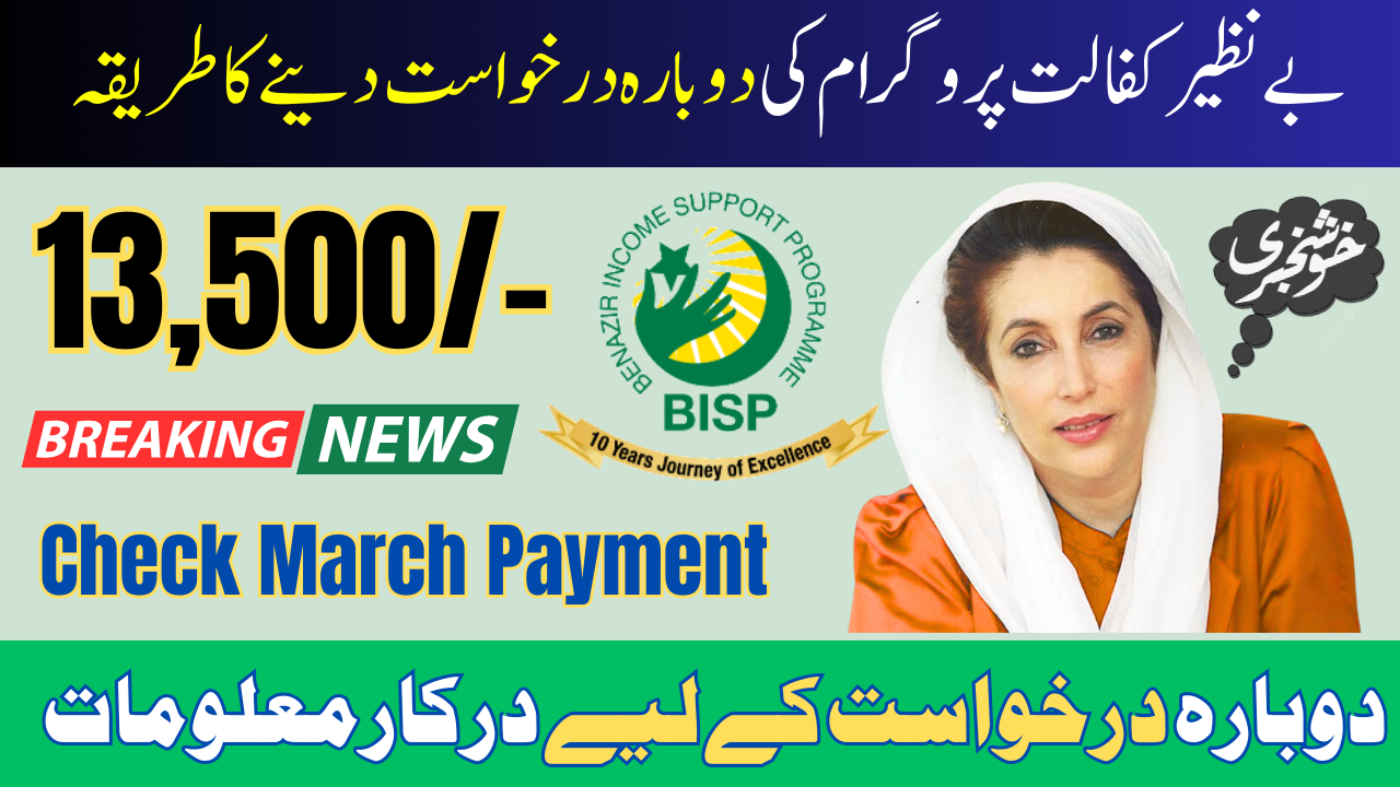 Benazir Kafalat Program Re-Application 2025 Check March Payment 13,500/- Through 8171 Web Portal