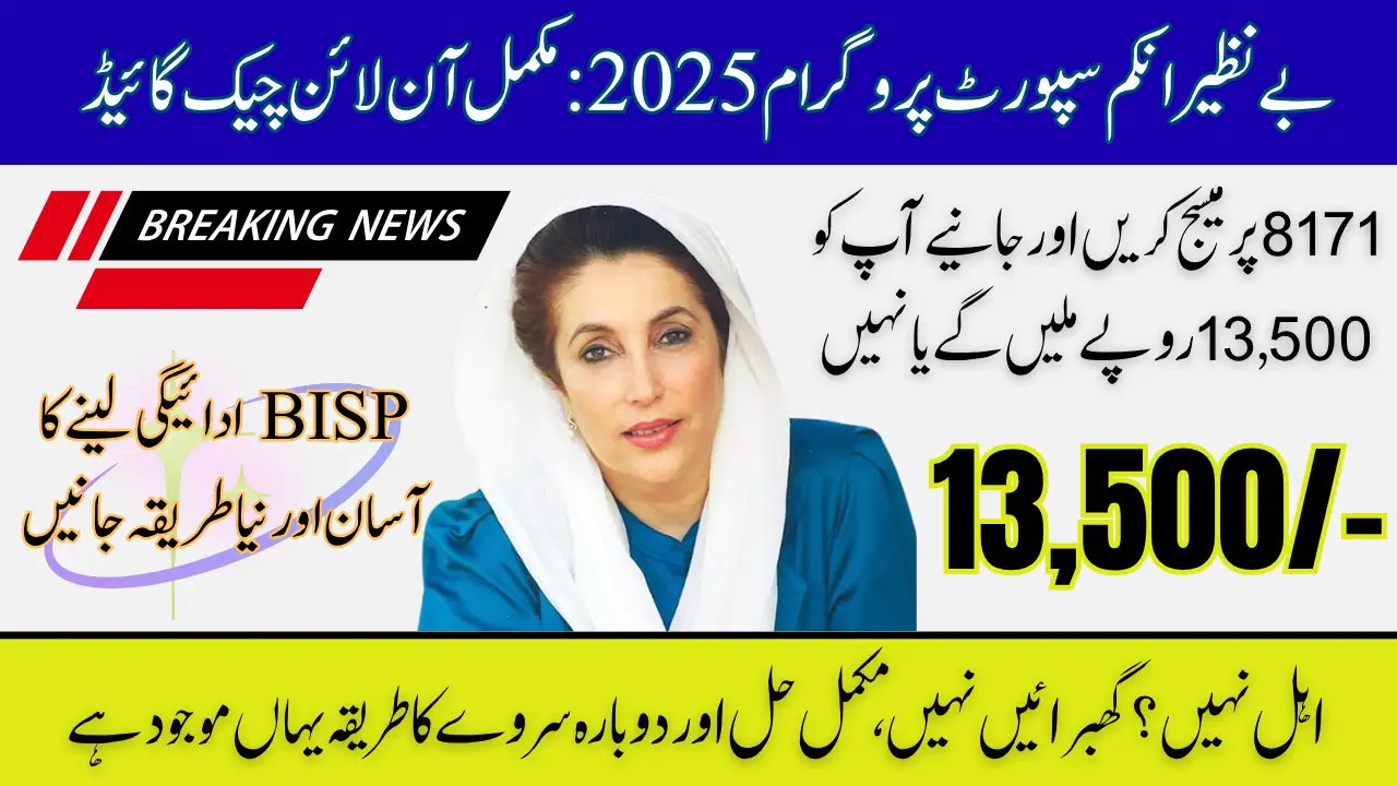 BISP 8171 Result Check Online by CNIC Complete Process Guide Step by Step (2025)