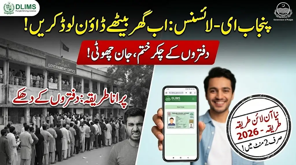 How to Download Elicense Punjab Via Portal Dlims.Punjab.Gov.Pk